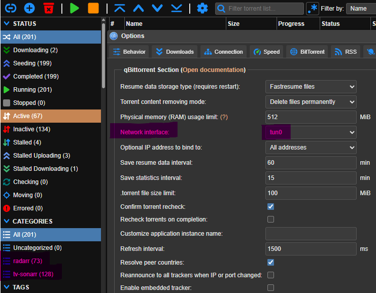 Gluetun and qBittorrent configuration screenshot